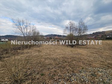 działka na sprzedaż 3100m2 działka Solina, Zawóz