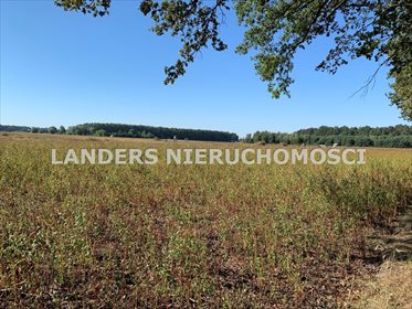 Działka inna na sprzedaż Charbice Dolne 8 000m2 Foto 1