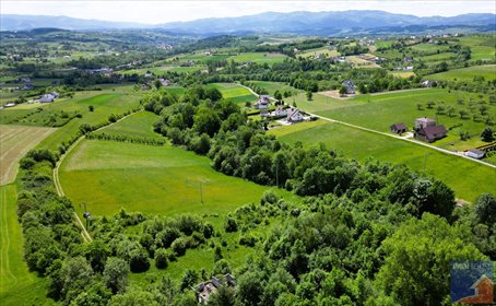 Działka 7,7 ha z planem zagospodarowania i dostępem działka Łukowica