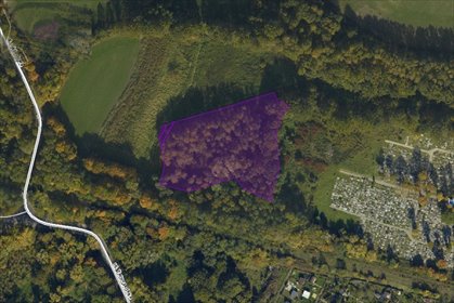 Działka 10 348 m² z zielenią w Zabrzu - polecam! działka Zabrze, Grzybowice, Składowa