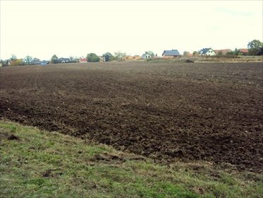 działka na sprzedaż 20000m2 działka Wrocław