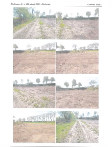 działka na sprzedaż 3100m2 działka Bielikowo