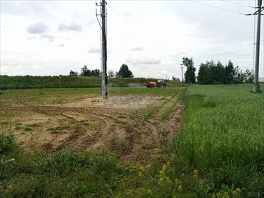Działka przemysłowo-handlowa pod dzierżawę Ociąż, Ostrowska 26 000m2 Foto 4