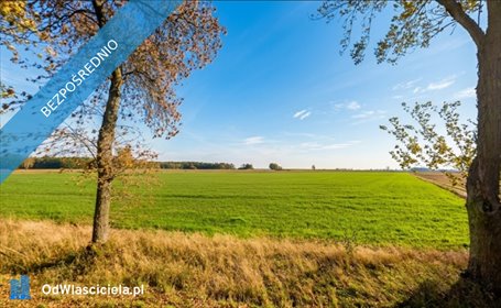 Działka 3033 m² z mediami i asfaltowym dojazdem działka Stawek