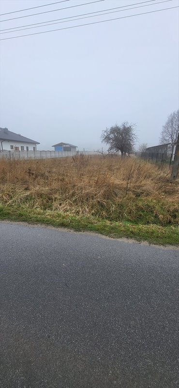 działka na sprzedaż 2994m2 działka Luciejów