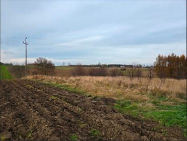 działka na sprzedaż 5245m2 działka Kornowac, Kornowac
