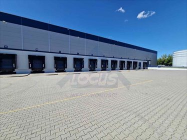 Zapraszam do wynajmu magazynu 2500 m² z dokami i temperaturą magazyn Ołtarzew