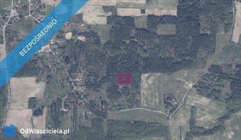 działka na sprzedaż 3913m2 działka Graniczna Wieś