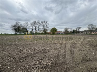 działka na sprzedaż 3196m2 działka Kowalewo