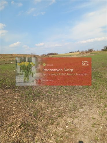 działka na sprzedaż 6600m2 działka Jakubowice Murowane