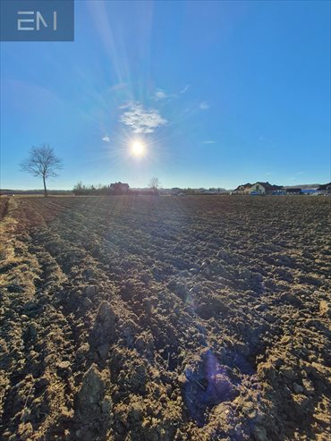 działka na sprzedaż 3200m2 działka Dębowiec