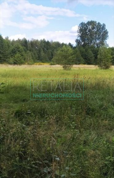 działka na sprzedaż 4100m2 działka Krupia Wólka