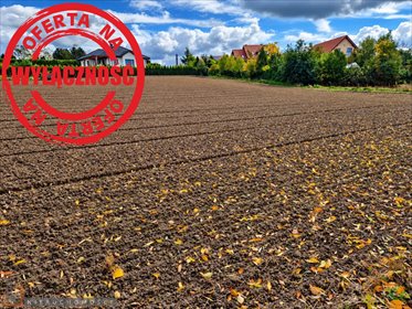 Na sprzedaż działka 17,56 ara z mediami w Zdzięsławicach działka Zdzięsławice