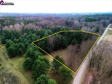 Działka 44 ar pod dom i rekreację w Boreczku - polecam! działka Boreczek