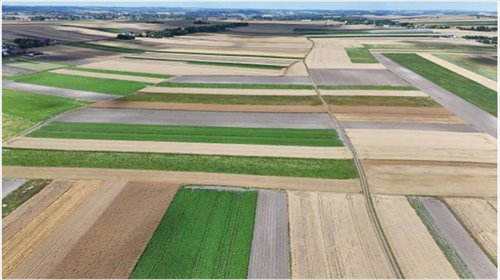 działka na sprzedaż 14380m2 działka Obrażejowice, Obrażejowice