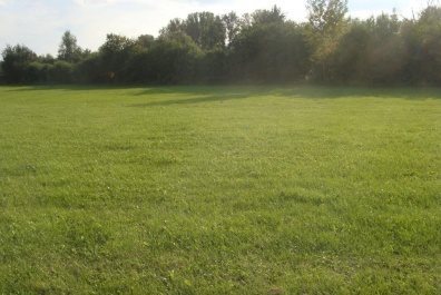 Działka rolna na sprzedaż Dobroszów Wielki 141 440m2 Foto 1