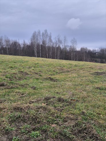 działka na sprzedaż 3238m2 działka Lublica