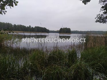 Do sprzedania malownicza działka 20,38 ha z linią jeziora Żyndeckiego działka Sorkwity, Zyndaki