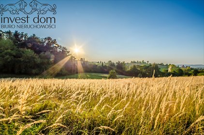 działka na sprzedaż 18402m2 działka Kryg