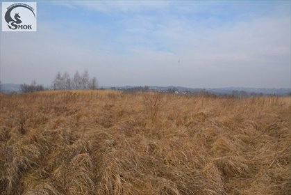 Inwestycyjna działka 4,9 ha z mediami i panoramicą polecam działka Dziekanowice