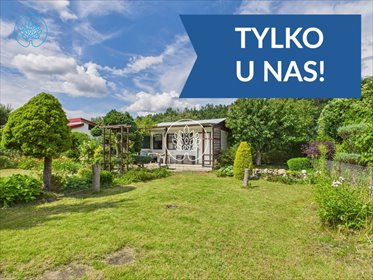 Działka rekreacyjna z domkiem, oczkiem i zielenią działka Jagodowo