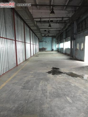magazyn na wynajem 1000m2 magazyn Krakow, Rybitwy, Półłanki