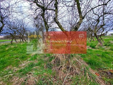 działka na sprzedaż 6300m2 działka Motycz