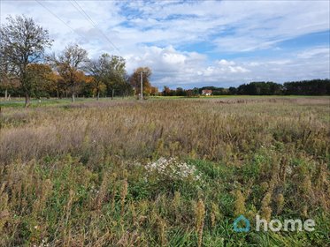 działka na sprzedaż 3820m2 działka Głogów