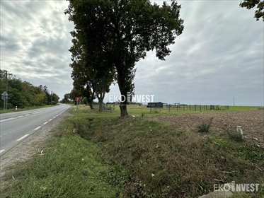 działka na sprzedaż 1170m2 działka Przemiarowo, Przemiarowo