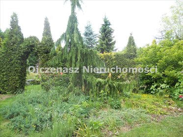 działka na sprzedaż 21805m2 działka Wierzchucinek