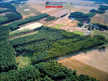 Działka 3118 m² w Łomnicy - las, media, cisza. działka Łomnica