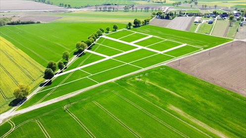 działka na sprzedaż 4205m2 działka Bobrowiczki