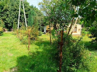 Sprzedam urokliwy dom 80 m² z ogrodem w centrum Białaczowa dom Białaczów, Szkolna