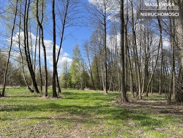 działka na sprzedaż 4103m2 działka Puszcza Mariańska