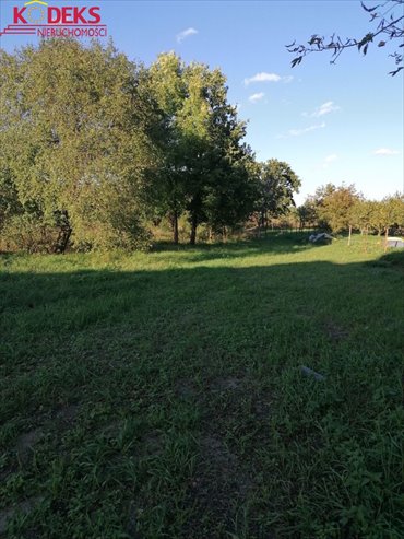 działka na sprzedaż 3000m2 działka Jabłonna