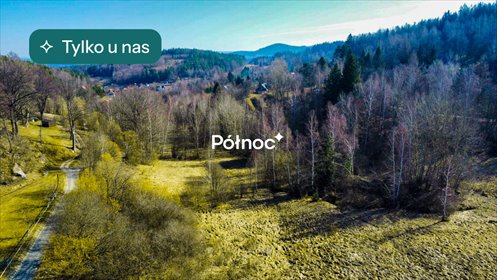 działka na sprzedaż 3206m2 działka Zachełmie