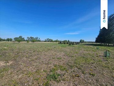 działka na sprzedaż 3000m2 działka Kotowice