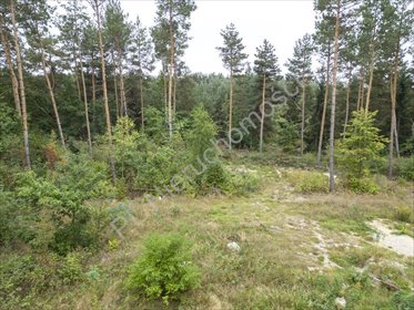 Działka budowlana 1700 m² z mediami (Adamowizna) działka Adamowizna