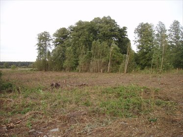 działka na sprzedaż 1000m2 działka Klembów