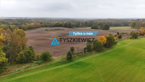 działka na sprzedaż 86943m2 działka Borowina, Wiejska