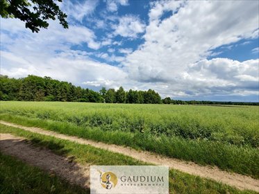 działka na sprzedaż 3010m2 działka Borkowo Lęborskie