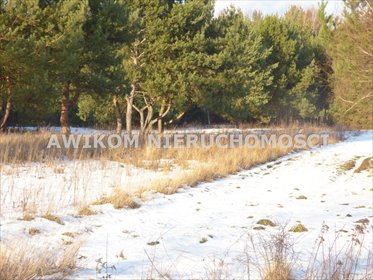 Działka usługowa 6800 m² z dostępem do drogi gminnej (blisko S8) działka Osowiec