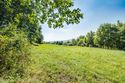 Działka 15 200 m² z dostępem do infrastruktury i widokami działka Ropica Polska