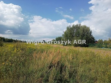 działka na sprzedaż 10100m2 działka Sowia Wola