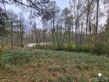 Działka rolna na sprzedaż Dywity 4 700m2 Foto 2