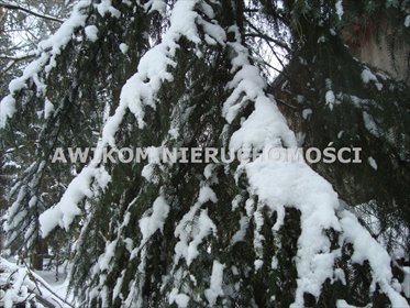 działka na sprzedaż 2049m2 działka Słubica B