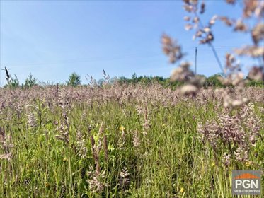 działka na sprzedaż 929m2 działka Trzebiatów