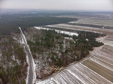 Działka rolna z lasem 15 318 m², asfalt zapraszam działka Wyśmierzyce