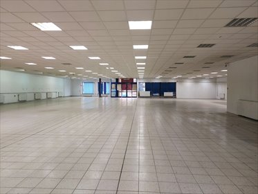 lokal użytkowy na wynajem 1000m2 lokal użytkowy Piotrków Trybunalski
