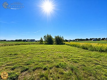 Na sprzedaż działka 586 m² pod dom w Zbrosławicach działka Zbrosławice